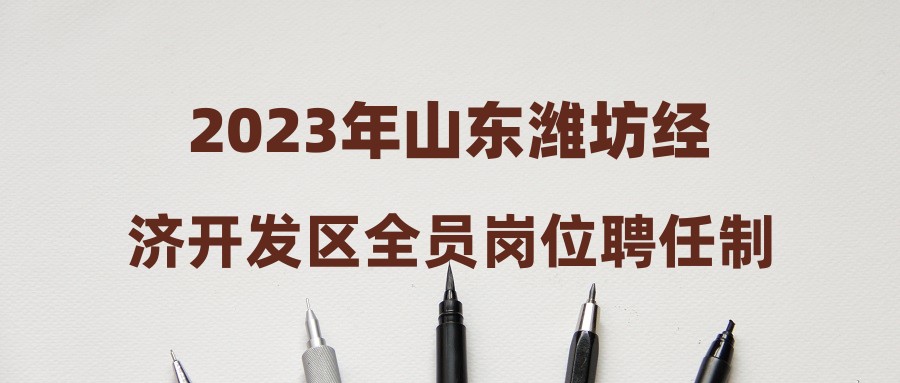 2023年山东潍坊经济开发区全员岗位聘任制人员公开招聘简章