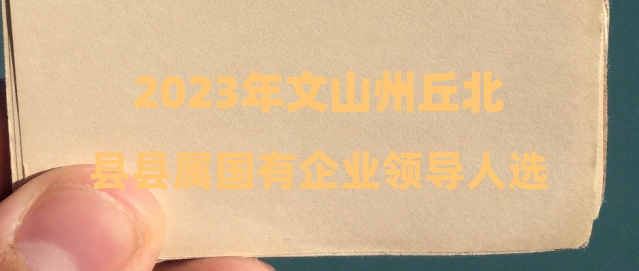 2023年文山州丘北縣縣屬國有企業(yè)領(lǐng)導(dǎo)人選聘選派資格復(fù)審及面試事宜公告