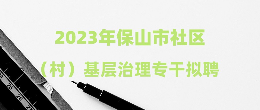 2023年保山市社区（村）基层治理专干拟聘用人员公示（第一批）