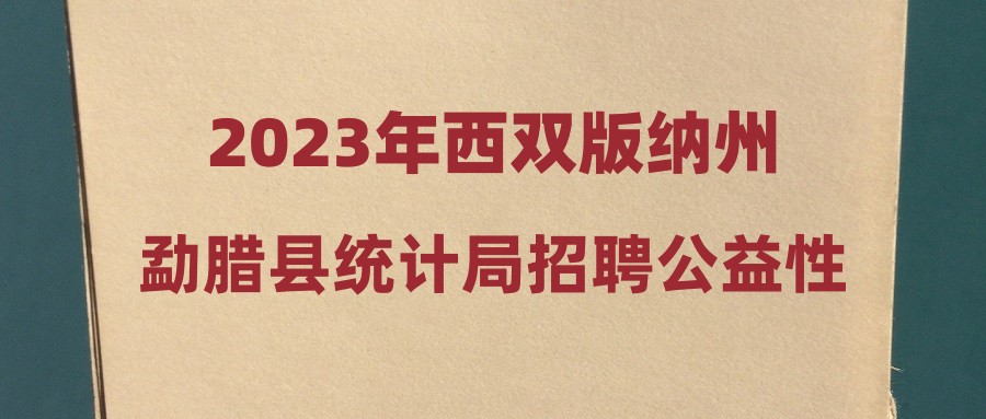 2023年西双版纳州勐腊县统计局招聘公益性岗位人员公告