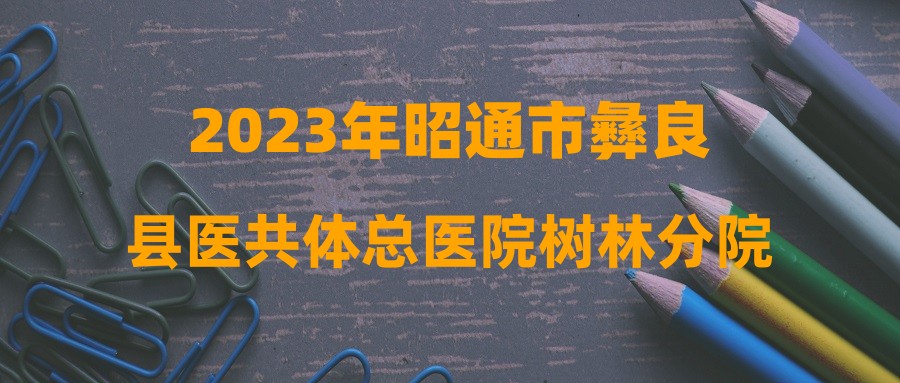 2023年昭通市彝良縣醫(yī)共體總醫(yī)院樹林分院招聘編外醫(yī)務(wù)人員公告