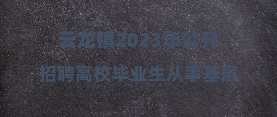 云龙镇2023年公开招聘高校毕业生从事基层公共服务人员公告