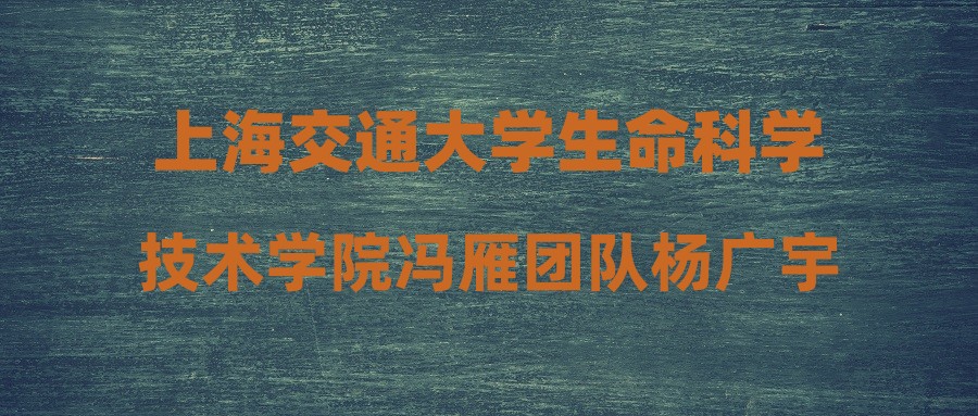 上海交通大学生命科学技术学院冯雁团队杨广宇老师招聘科研助理岗位