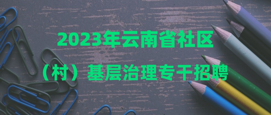 2023年云南省社区（村）基层治理专干招聘（广南县）选岗结果通告