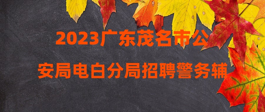 2023廣東茂名市公安局電白分局招聘警務(wù)輔助人員公告