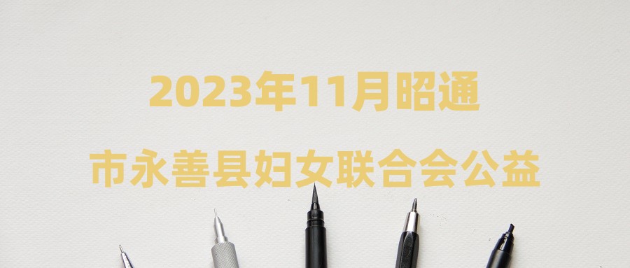 2023年11月昭通市永善县妇女联合会公益性岗位招聘公告