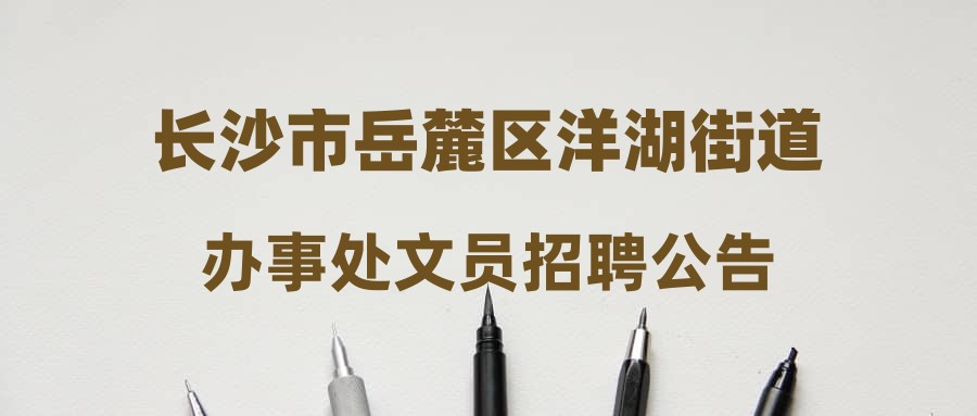 长沙市岳麓区洋湖街道办事处文员招聘公告