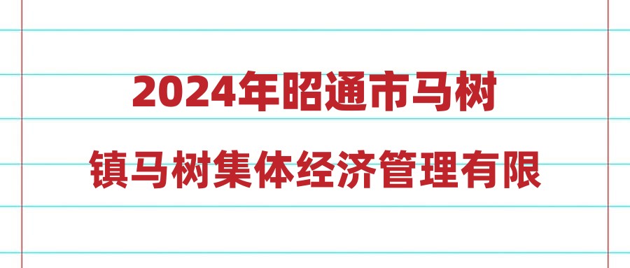 2024年昭通市马树镇马树集体经济管理有限公司招聘自设公益性岗位人员通告