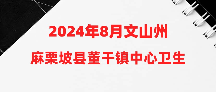 2024年8月文山州麻栗坡县董干镇中心卫生院招聘公告