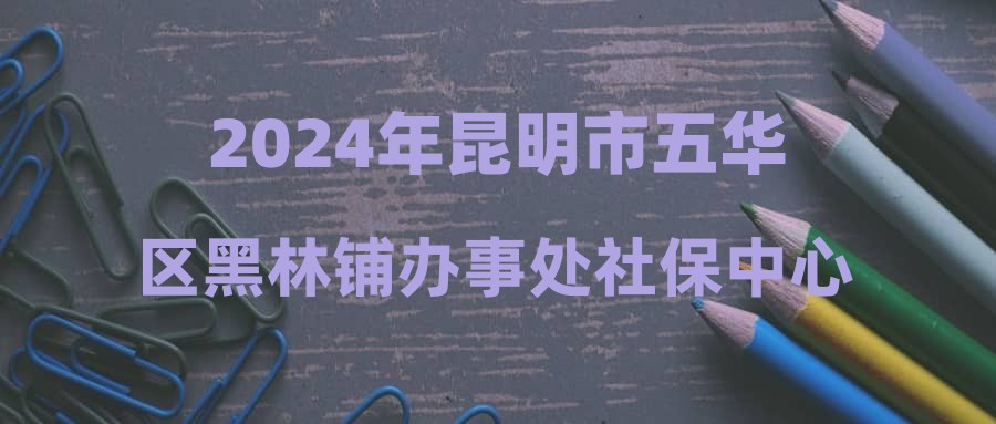 2024年昆明市五华区黑林铺办事处社保中心招聘通知