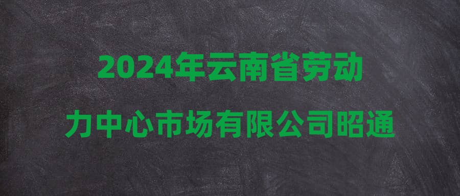 2024年云南省劳动力中心市场有限公司昭通分公司招聘公告