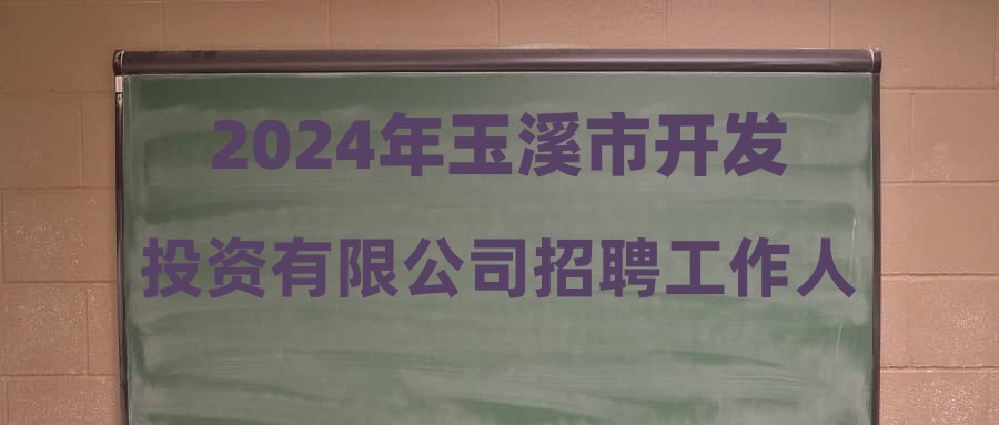 2024年玉溪市开发投资有限公司招聘工作人员公告