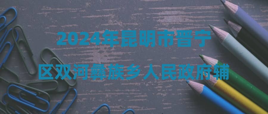 2024年昆明市晋宁区双河彝族乡人民政府辅助性岗位招聘公告