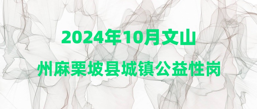 2024年10月文山州麻栗坡縣城鎮(zhèn)公益性崗位招聘公告