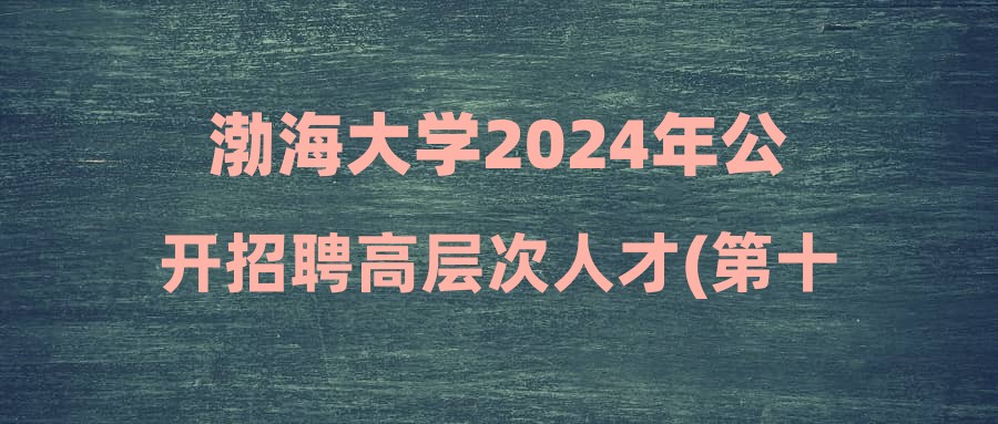 渤海大學(xué)2024年公開(kāi)招聘高層次人才(第十八批)擬聘人員公示