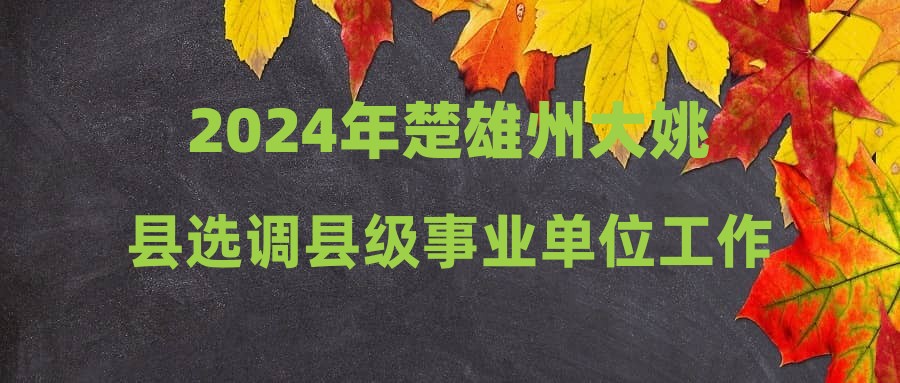 2024年楚雄州大姚縣選調(diào)縣級事業(yè)單位工作人員公告