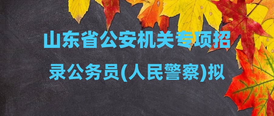 山東省公安機關(guān)專項招錄公務(wù)員(人民警察)擬錄用人員公示(第二批)