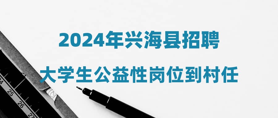 2024年興海縣招聘大學(xué)生公益性崗位到村任職的公告