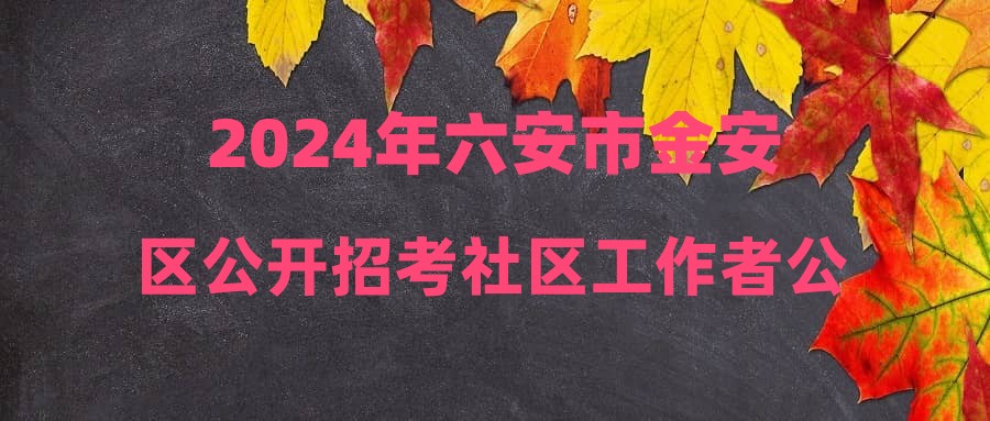 2024年六安市金安區(qū)公開招考社區(qū)工作者公告