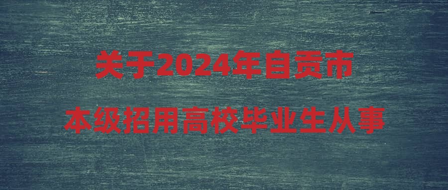 關(guān)于2024年自貢市本級招用高校畢業(yè)生從事公共服務(wù)資格審查有關(guān)事項(xiàng)的公告