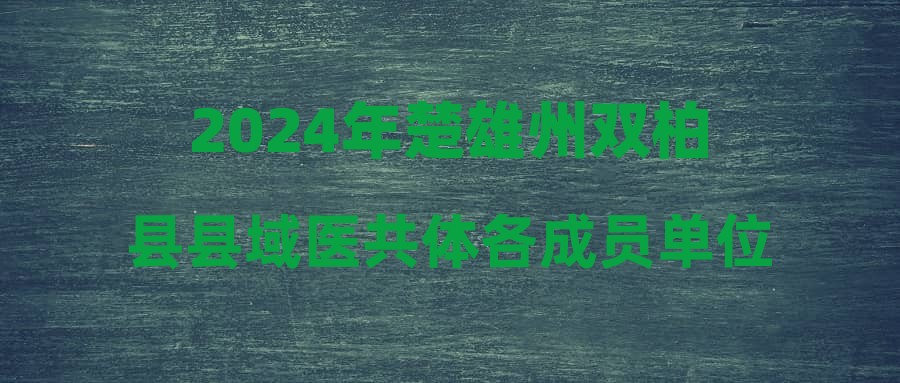 2024年楚雄州雙柏縣縣域醫(yī)共體各成員單位招聘編制外工作人員公告