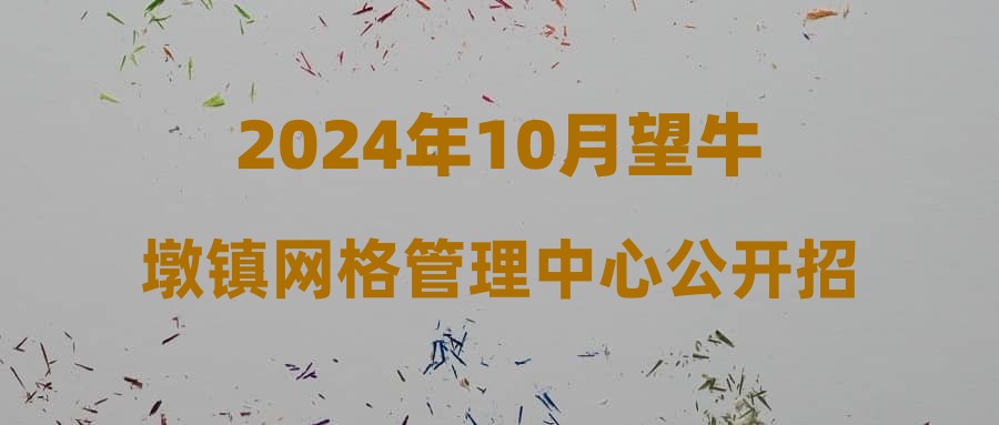 2024年10月望牛墩鎮(zhèn)網(wǎng)格管理中心公開招聘網(wǎng)格管理員公告