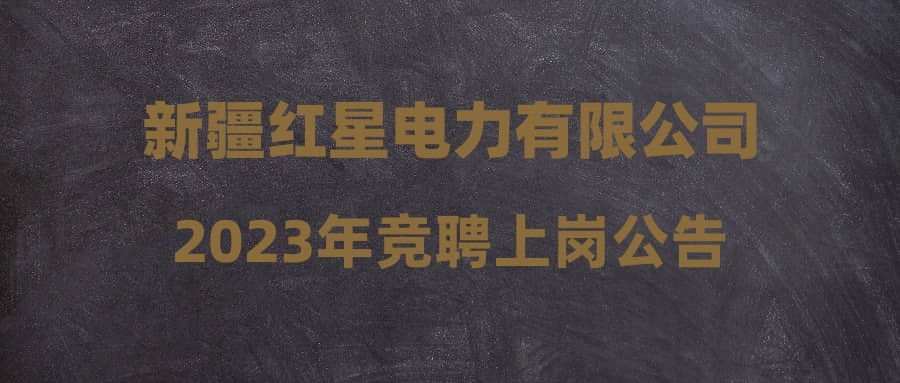 新疆红星电力有限公司2023年竞聘上岗公告