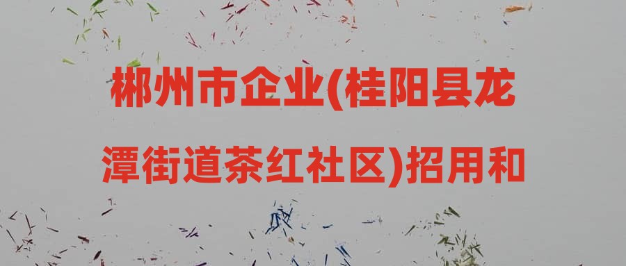 郴州市企业(桂阳县龙潭街道茶红社区)招用和公益性岗位安排就业困难人员享