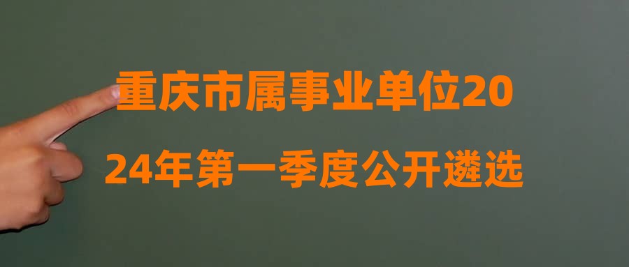 重庆市属事业单位2024年第一季度公开遴选工作人员考试报名统计(2024-02-28)