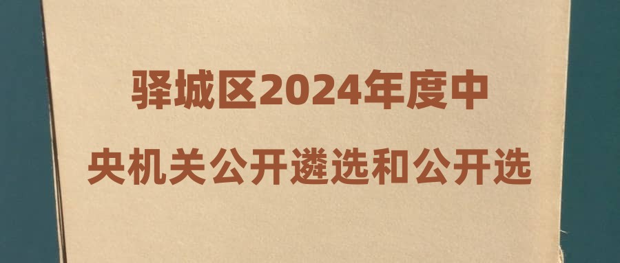 驿城区2024年度中央机关公开遴选和公开选调公务员笔试准考证打印网址