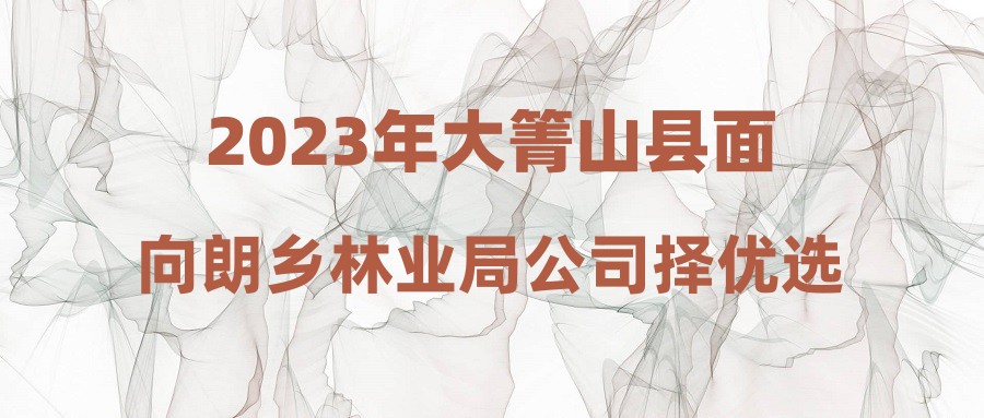 2023年大箐山县面向朗乡林业局公司择优选聘工作人员拟聘人员公示