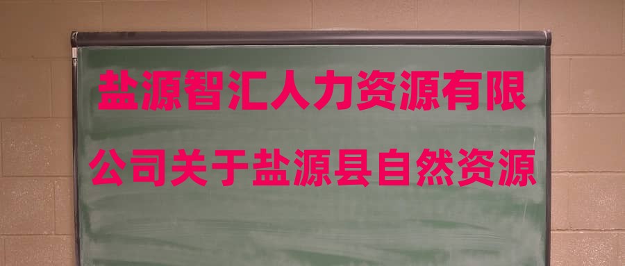 盐源智汇人力资源有限公司关于盐源县自然资源局2023年公开招聘劳务派遣制工作人员总成绩的公示