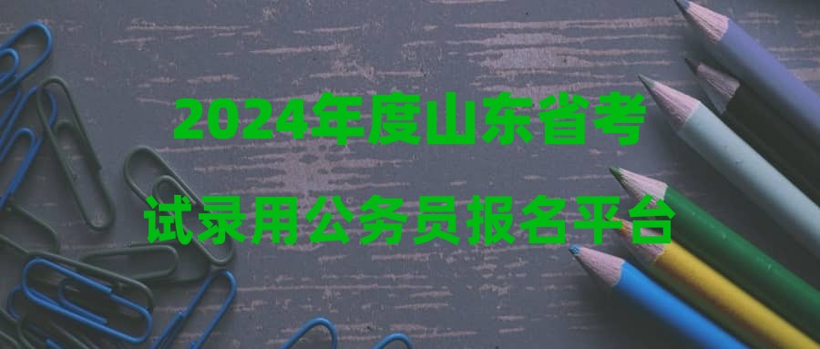 2024年度山东省考试录用公务员报名平台