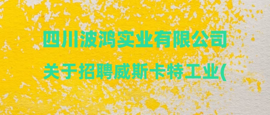 四川波鸿实业有限公司关于招聘威斯卡特工业(中国)有限公司持续改善部工程师岗位拟录用人员的公示