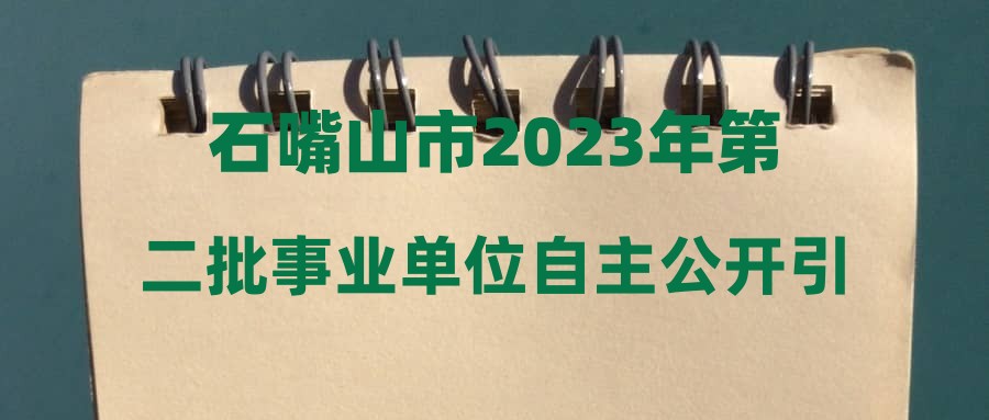 石嘴山市2023年第二批事业单位自主公开引进(招聘)青年人才面试有关事项的公告