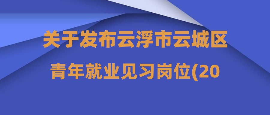 关于发布云浮市云城区青年就业见习岗位(2023年第十七期)的通知