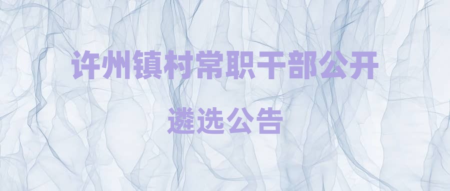 许州镇村常职干部公开遴选公告