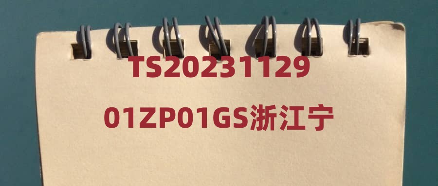 TS2023112901ZP01GS浙江宁数科创集团有限公司拟录用人员公示